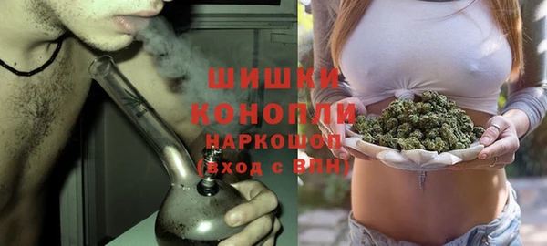дурь Алзамай