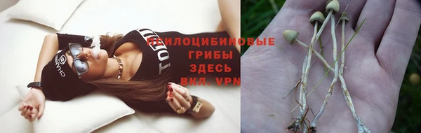 гидропоника Алексеевка