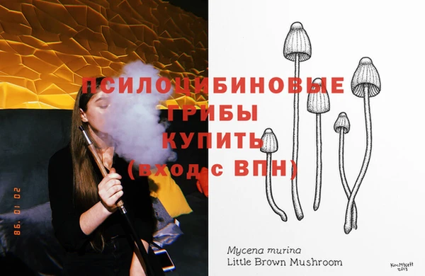 дурь Алзамай