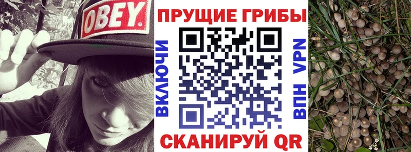 Галлюциногенные грибы MAGIC MUSHROOMS  Лесосибирск 
